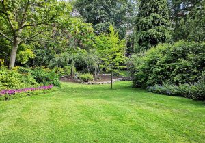 Optimiser l'expérience du jardin à Roche-et-Raucourt